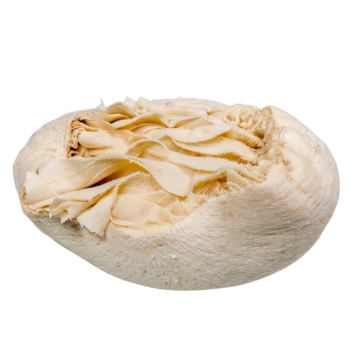 Pişmiş Kırkbayır